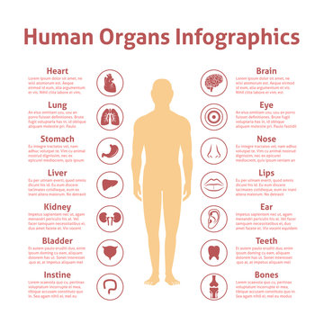 Human infographic set