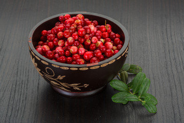 Cowberry