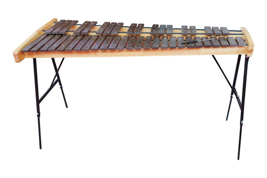 xylophone