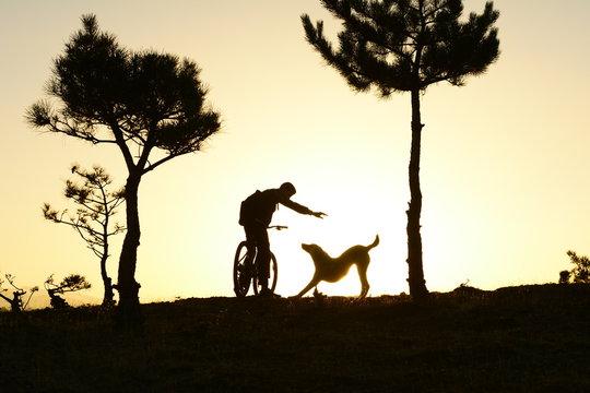 k&ouml;pek sevgisi