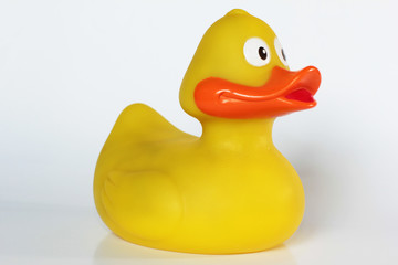 Yellow Duck - Giallo Anatroccolo