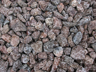 Stones in the rain on the shore of Loch Ness