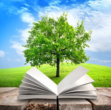 Tree and book