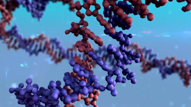 DNA