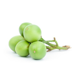Fresh turkey berry on white background.