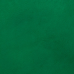 Green leather