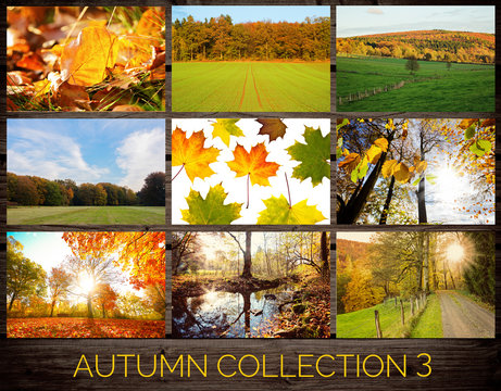 Autumn Collection 3