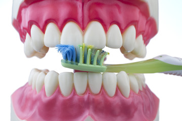 Obraz premium Teeth and old toothbrush