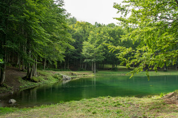 Tranquil scene of the lake shore