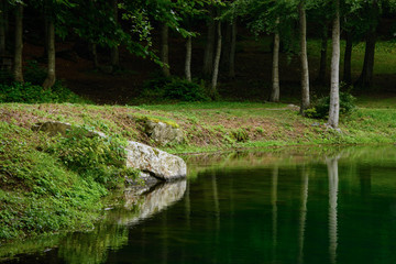 Tranquil scene of the lake shore