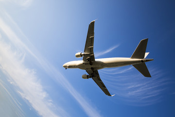 飛行機