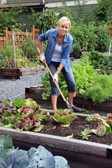 Woman vegetable garden