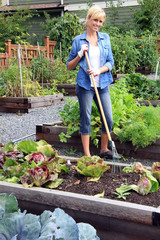 Woman vegetable garden