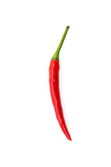 Chilli isolated on white