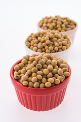 Soybean isolated on white background