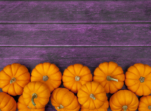 Autumn Pumpkin Thanksgiving Background