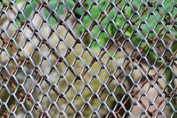 An image of a toast with pate