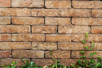 Old brick wall. Abstract background with old brick wall.