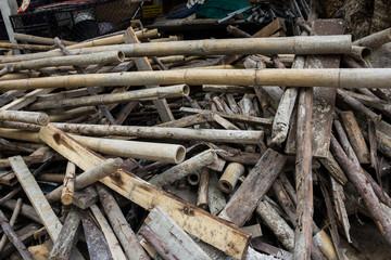 Pile old bamboo