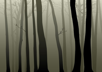 Vector illustration of woods