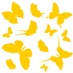 Fototapeta premium butterflies design