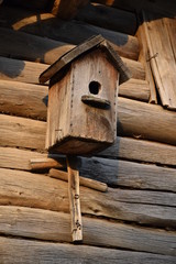 birdhouse-1