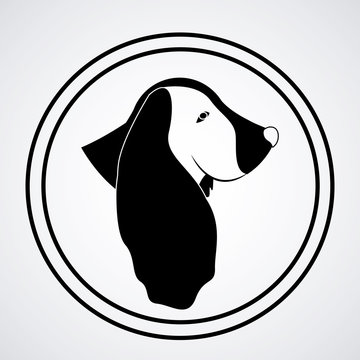 Pets design