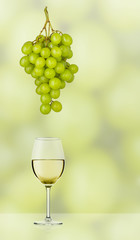 Green grapes and a glass of white wine
