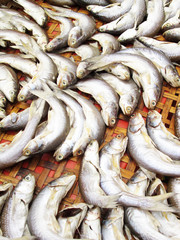 Sun fish on threshing basket