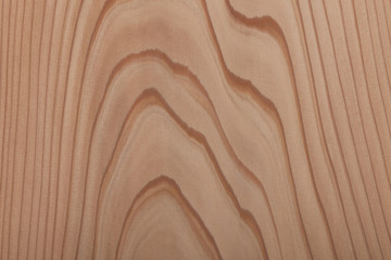 木目の美しい杉板