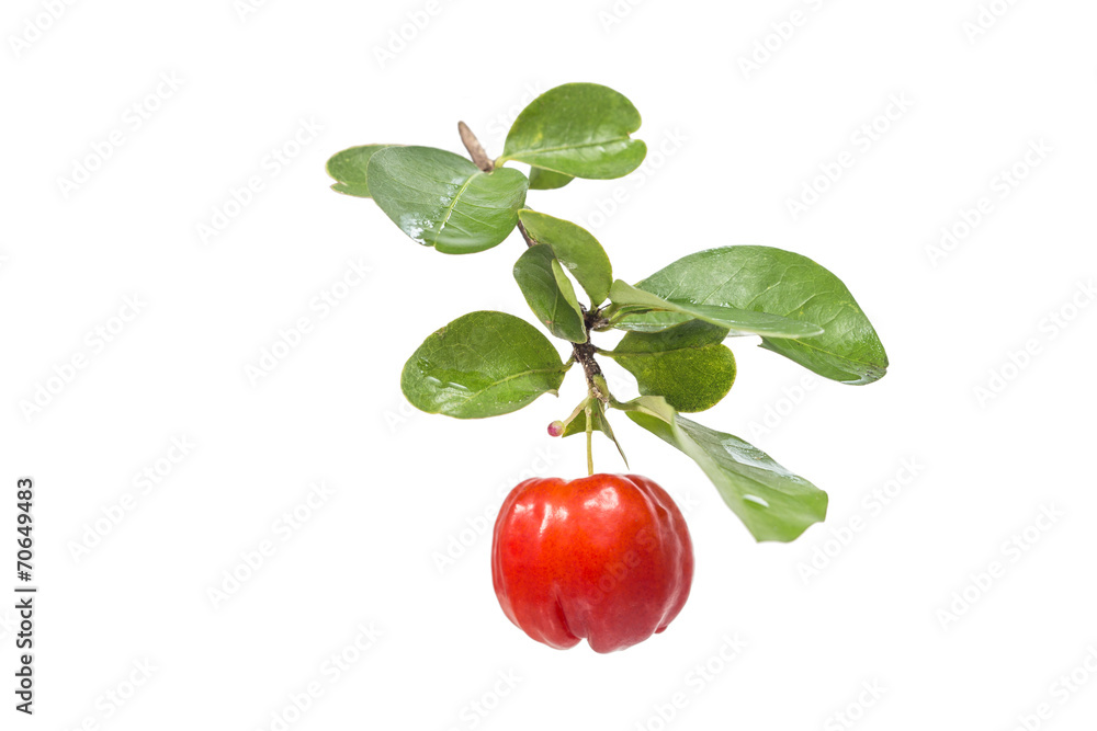 Wall mural acerola fruit