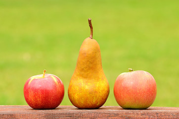 Fresh pear and apple after harvest