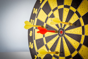 darts arrows in the target