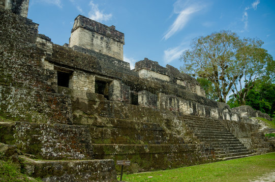 tikal mayan ruins in guatemala