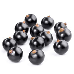 black currant