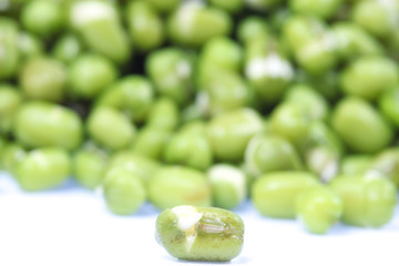 Closes – up green bean.