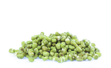 Closes – up green bean.