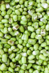 Closes – up green bean.