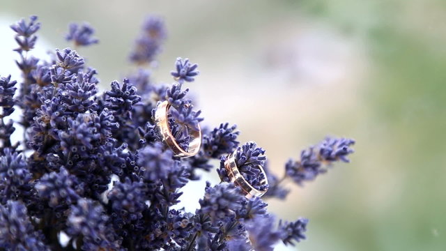 Two wedding rings on a bouquet of lavender.