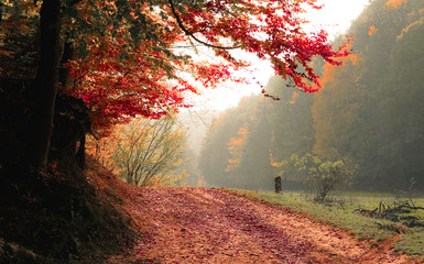 Beginning of fall