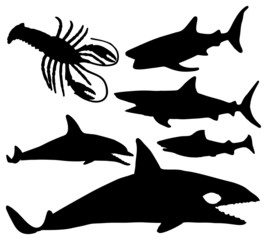 black silhouette of a shark, a Dolphin, cancer, Keith