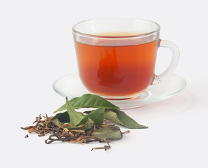 Tea cup with fresh and dried tea leaves