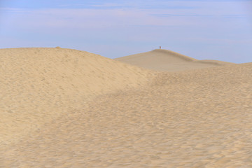 Fototapeta na wymiar Dune of Pilat in France