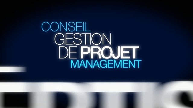 Conseil Gestion de Projet management nuage de mots texte