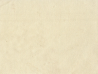 Canvas fabric texture