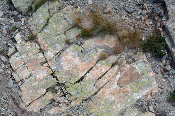 Cracked natural stone texture with grass
