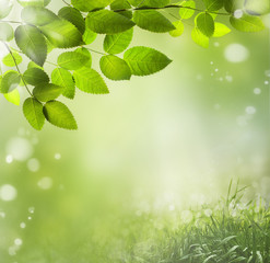 Spring abstract  background
