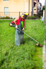 Man cutting grass with petrol mower
