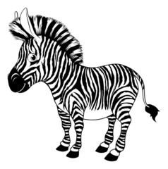 Fototapeta na wymiar Black and white cartoon zebra