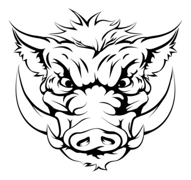 Boar mascot face